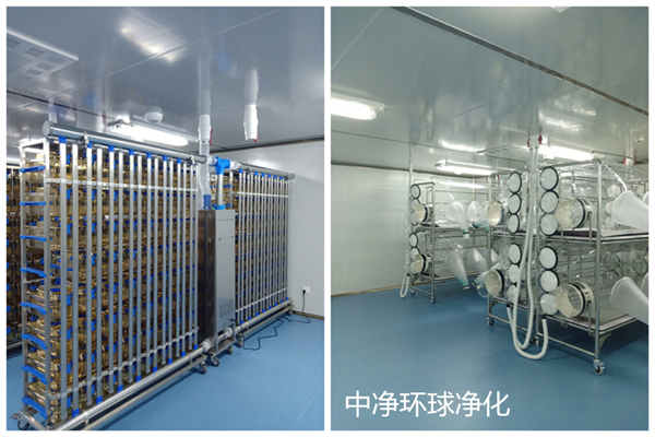 動物實驗室設(shè)計及規(guī)劃